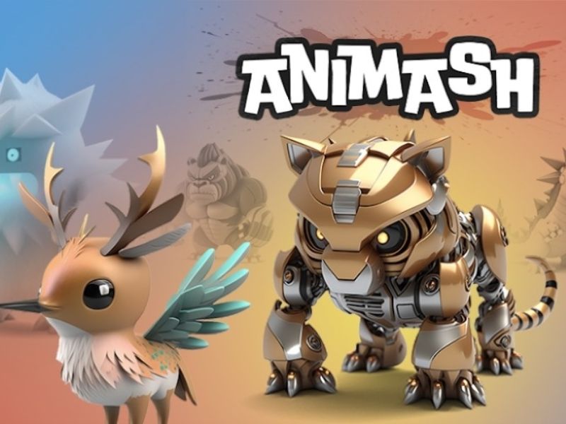 Giới Thiệu Chung Về Animash Hack